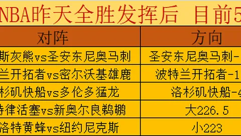 张玉宁足球之旅：梦想之光持续闪耀